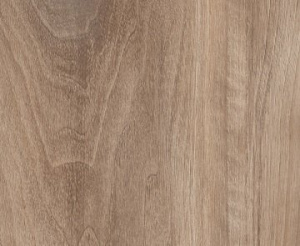 REXAU Заглушка самоклеющаяся D14мм (20шт) Соул