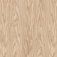 REXAU Заглушка самоклеющаяся D14мм (20шт) Эра