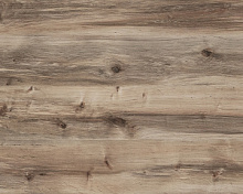 Стеновая панель КЕДР Берёза Сандал 521 Pw 3050х600х4 мм